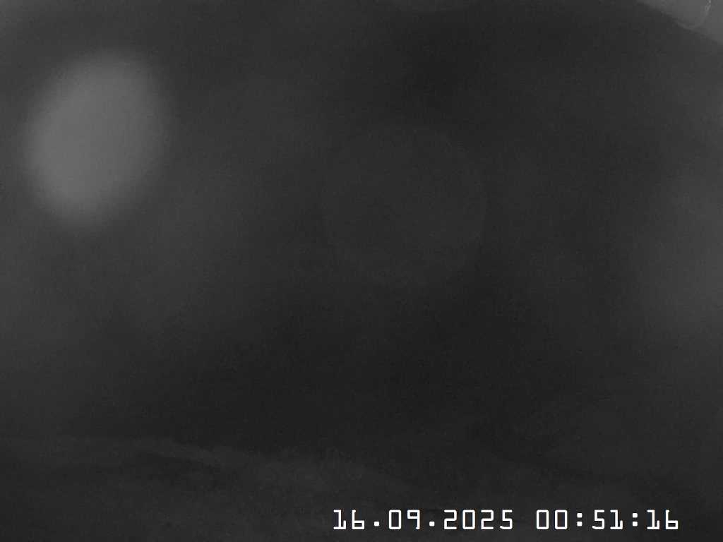 Webcam Bach