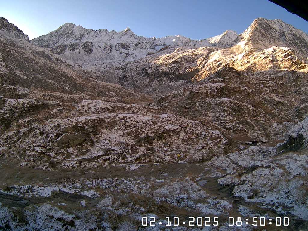 Webcam Bach