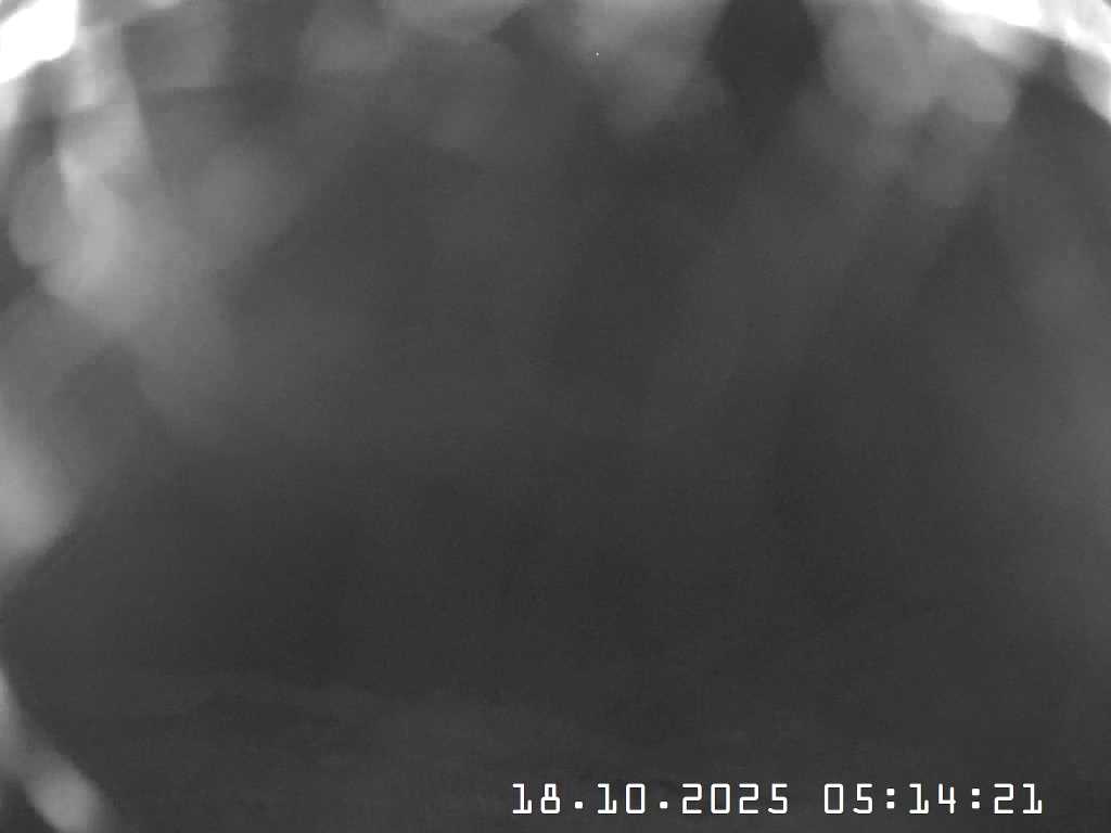 Webcam Bach